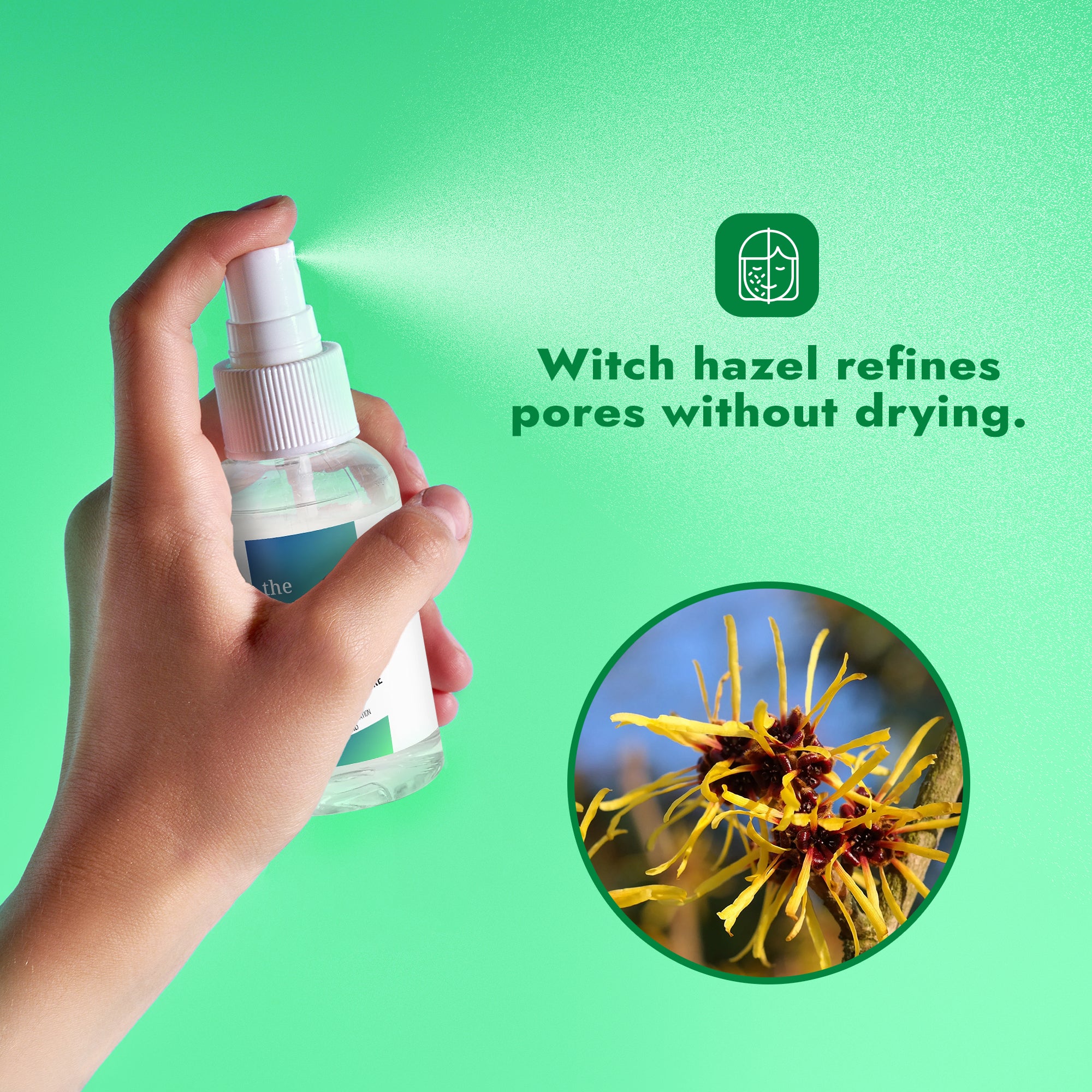 Witch Hazel Pore Perfecting Toner